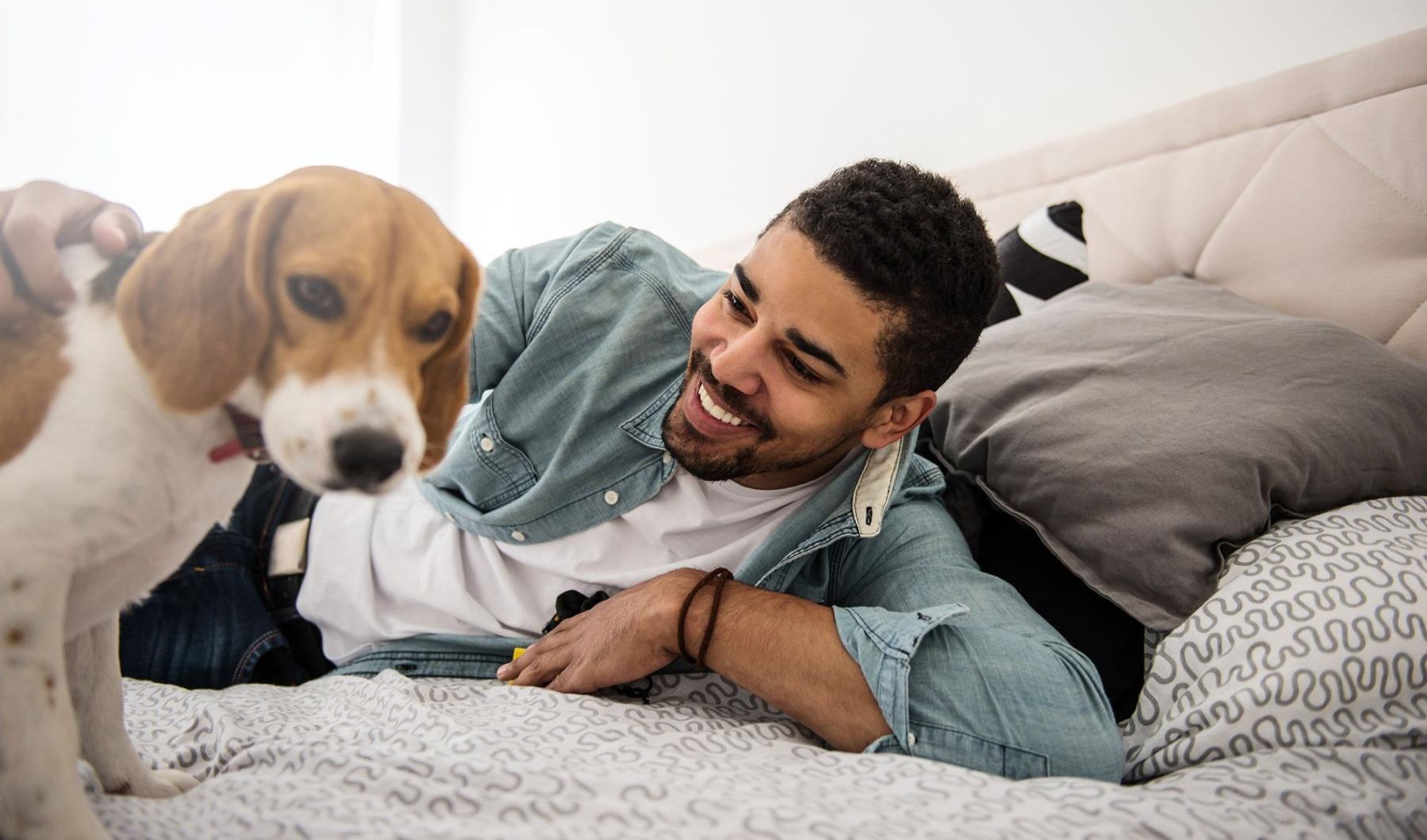 man smiles and pets his dog on a bed